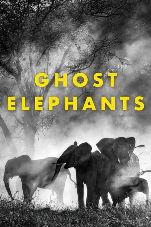 Ghost Elephants