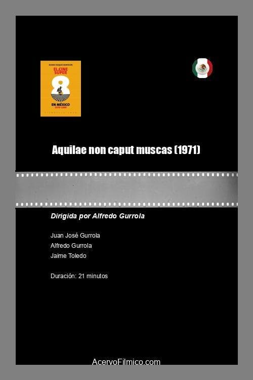 Aquilae non caput muscas