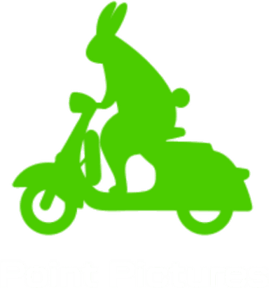 Point Pictures